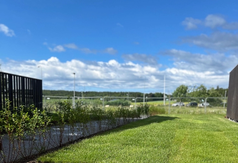 Nylagd gräsmatta som angränsar till naturmark vid bostadsområdet Sjöstråket i Upplands Väsby.