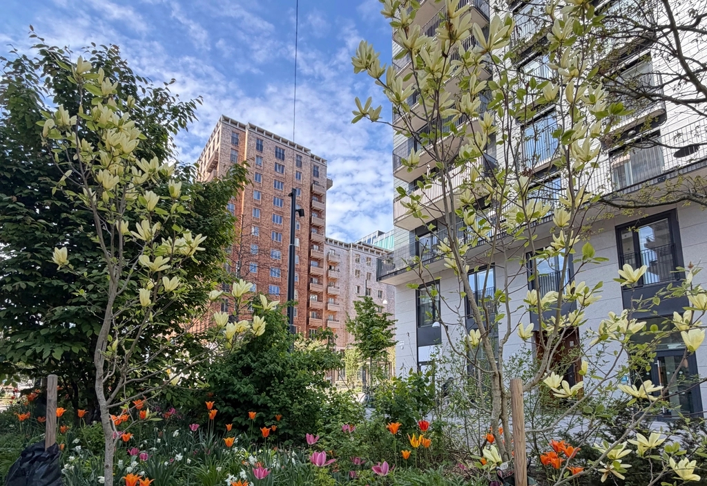 Färgglad vårblomsterrabatt med ljust blommande träd framför moderna höghus under en blå himmel.