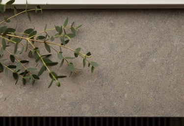 En kvist med gröna blad vilar på en beige yta med textur bredvid ett vitt rektangulärt objekt högst upp.