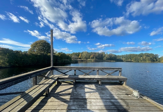 Träbrygga med bänkar vid Brunnsviken under en blå himmel med vita moln och träd på bortre stranden.