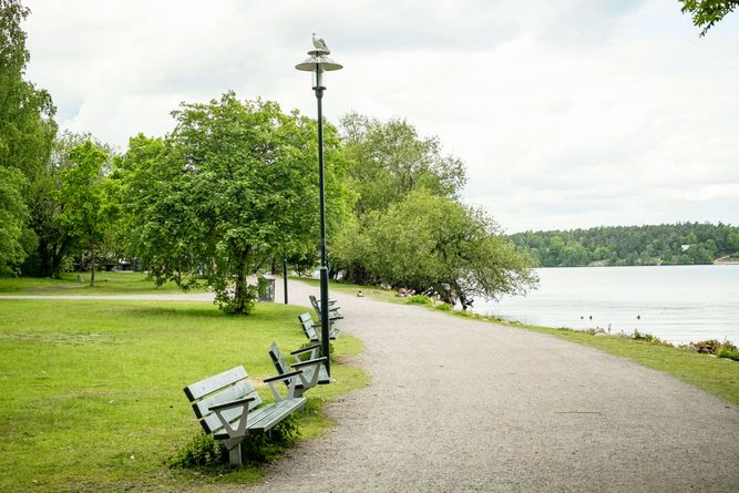 Bänkar vid strandpromenad och vattnet