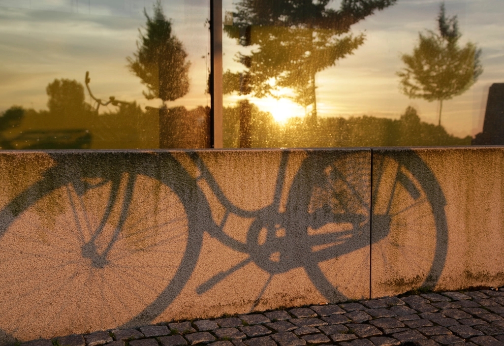 Cykelskugga på betongvägg. Ovanför speglas gyllene solnedgång och träd i fönster. Gatsten i förgrunden.