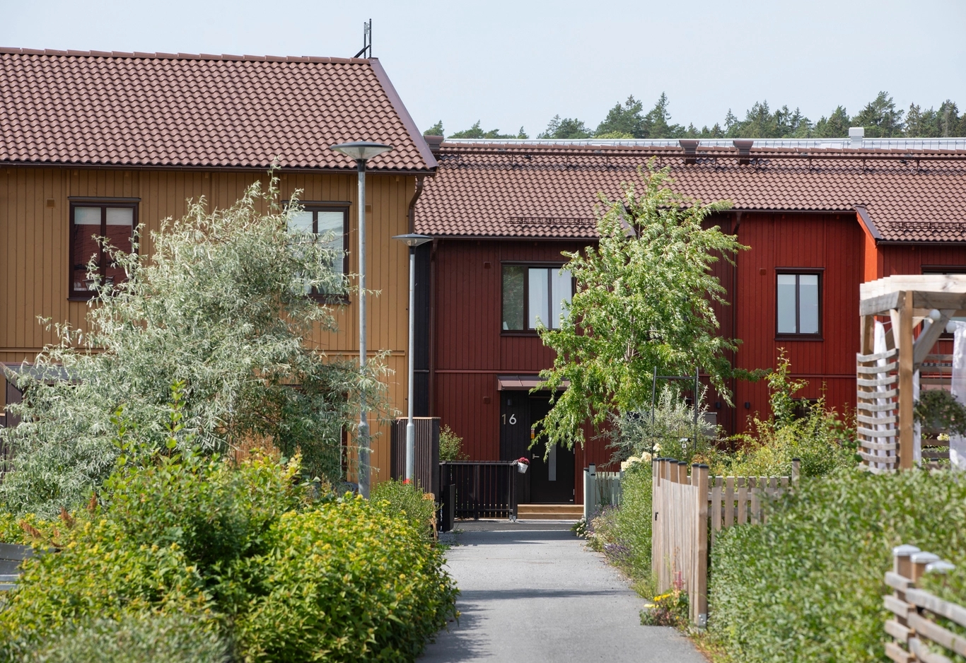 Gångväg mellan grönskande trädgårdar fram till radhus i gult och rött trä.