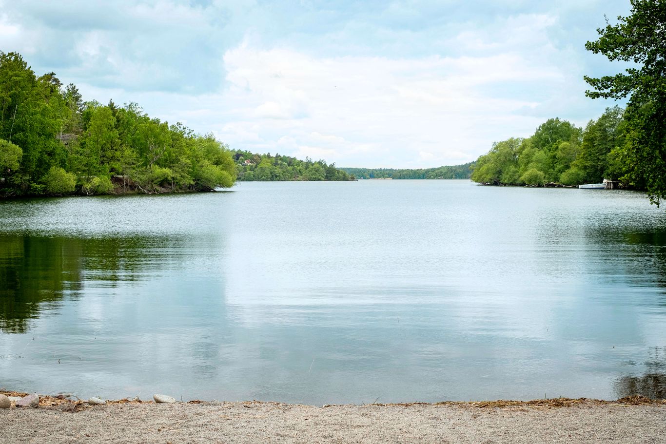 Lugnt klart vatten, omgivet av grönskande träd, En flytbrygga av trä ute i vattnet, bild från närområdet i Hägersten