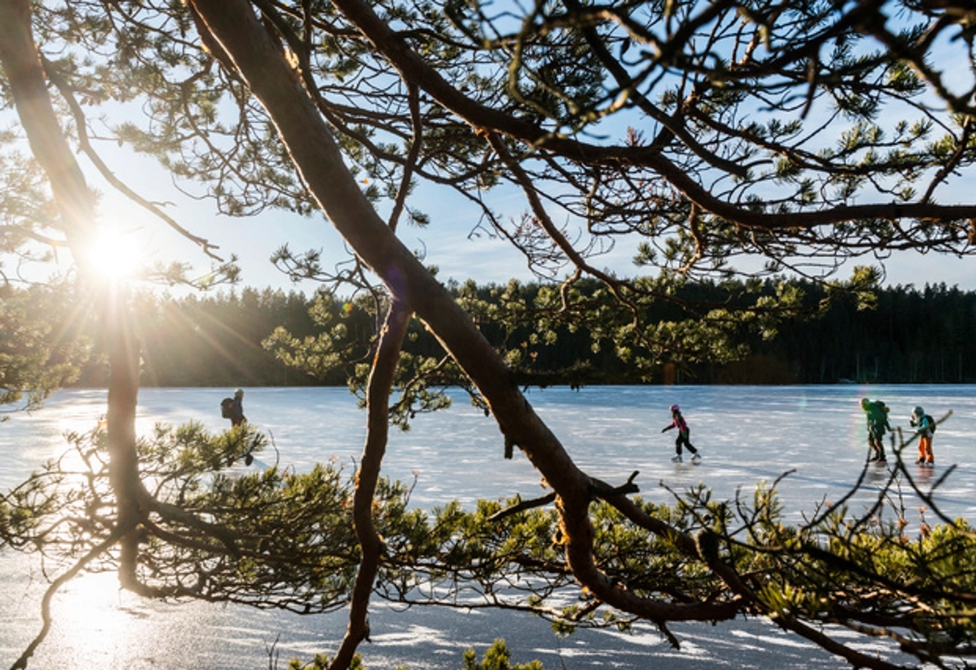 En vit cykel med trådkorg och brun sits står parkerad mot en mörk betongvägg.