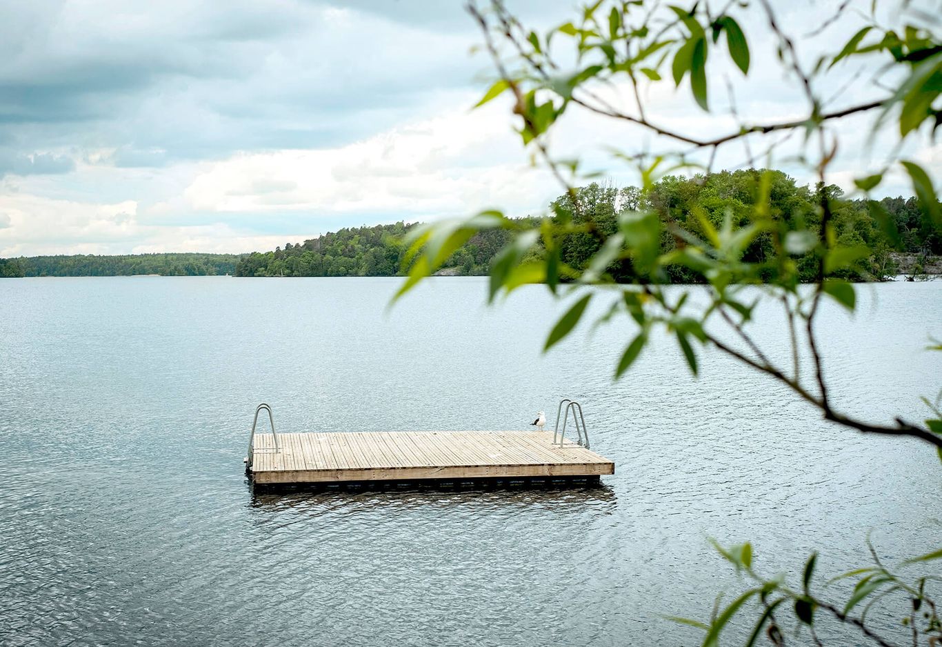 En flytbrygga av trä ute i vattnet, bild från närområdet i Hägersten