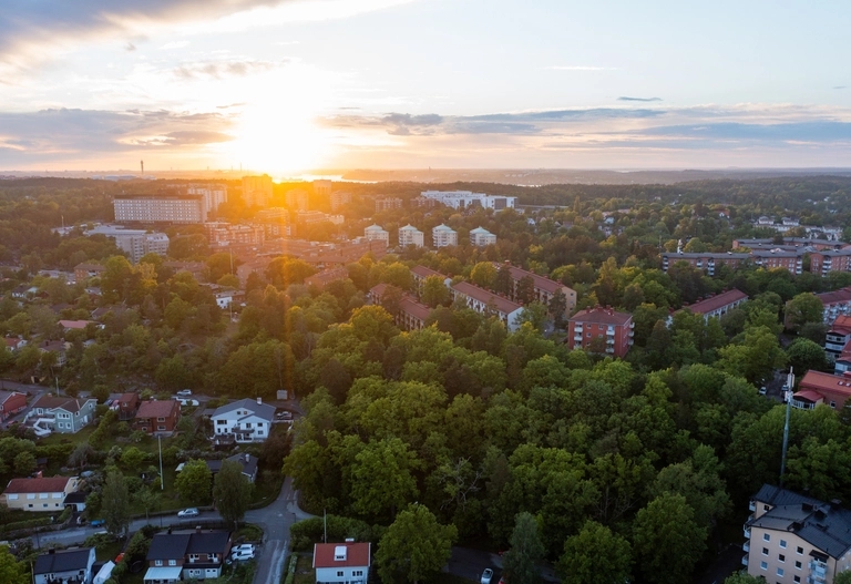 Flygfoto över ett förortsområde med många träd och byggnader i solnedgången.