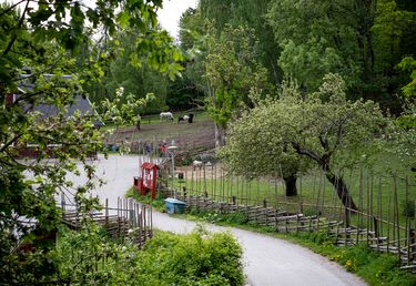 Slingrande landsväg med staket som leder till en lada. Hästar som betar i närheten